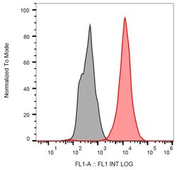 Invitrogen p53 Monoclonal Antibody (BP53-12), FITC 100 &mu;g; FITC:Antibodies,