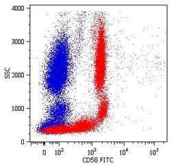 Invitrogen CD58 Monoclonal Antibody (MEM-63), FITC 100 Tests; FITC:Antibodies,
