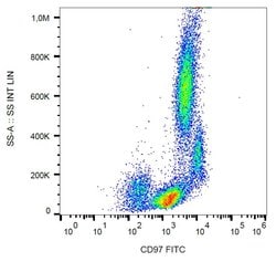 Invitrogen CD97 Monoclonal Antibody (MEM-180), FITC 100 Tests; FITC:Antibodies,