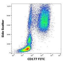 Invitrogen CD177 Monoclonal Antibody (MEM-166), FITC 100 Tests; FITC:Antibodies,