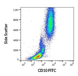 Invitrogen CD10 Monoclonal Antibody (LT10), FITC 100 Tests; FITC:Antibodies,