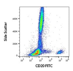 Invitrogen CD20 Monoclonal Antibody (LT20), FITC 100 Tests; FITC:Antibodies,