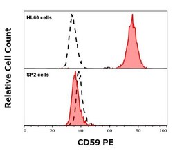 Invitrogen CD59 Monoclonal Antibody (MEM-43), PE 100 Tests | Buy Online | Invitrogen&trade; | Fisher Scientific