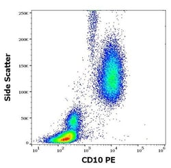 Invitrogen CD10 Monoclonal Antibody (LT10), PE 100 Tests | Buy Online | Invitrogen&trade; | Fisher Scientific