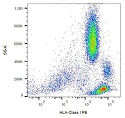 Invitrogen HLA-ABC Monoclonal Antibody (W6/32), PE 100 &mu;g; PE:Antibodies,