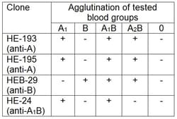 Invitrogen Blood Group B Antigen Monoclonal Antibody (HEB-29) 1 mL; Unconjugated:Antibodies,