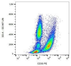 Invitrogen CD30 Monoclonal Antibody (MEM-268), PE 100 Tests; PE:Antikörper