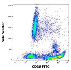 Invitrogen CD36 Monoclonal Antibody (TR9), FITC 100 Tests; FITC:Antibodies,