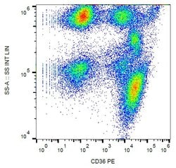 Invitrogen CD36 Monoclonal Antibody (TR9), PE 100 Tests; PE:Antibodies,