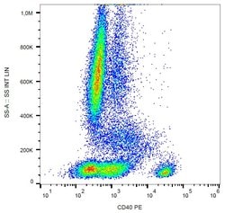 Invitrogen CD40 Monoclonal Antibody (HI40a), PE 100 Tests; PE:Antibodies,