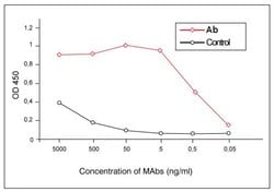 Invitrogen RSV Monoclonal Antibody (9C5) 100 &mu;g; Unconjugated:Antibodies,