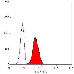 Invitrogen LTB4R Monoclonal Antibody (202/7B1) 100 &mu;g; Unconjugated:Antibodies,