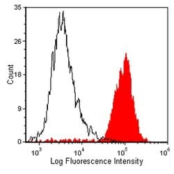 Invitrogen CD11b/c Monoclonal Antibody (OX-42) 125 &mu;g | Buy Online | Invitrogen&trade; | Fisher Scientific