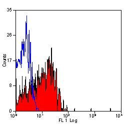 Invitrogen E-selectin Monoclonal Antibody (1.2B6) 100 &mu;g; Unconjugated:Antibodies,