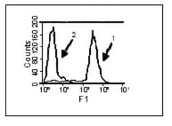 Invitrogen BAFF (soluble) Monoclonal Antibody (Buffy-1) 50 &mu;g | Buy Online | Invitrogen&trade; | Fisher Scientific