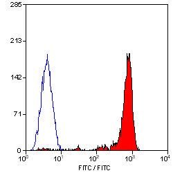 Invitrogen CD18 Monoclonal Antibody (YFC118.3) 40 &mu;g; Unconjugated:Antibodies,