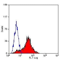 Invitrogen LAIR1 Monoclonal Antibody (NKTA255):Antibodies:Primary Antibodies
