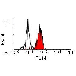 Invitrogen CD84 Monoclonal Antibody (CD84.1.21) 200 &mu;g; Unconjugated:Antibodies,