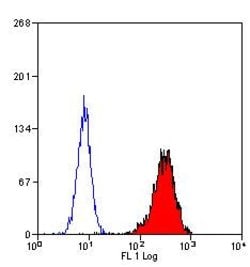 Invitrogen Myeloperoxidase Monoclonal Antibody (2C7) 40 &mu;g | Buy Online | Invitrogen&trade; | Fisher Scientific