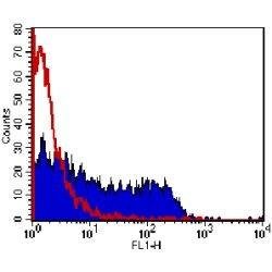 Invitrogen M13 Phage coat protein Monoclonal Antibody (E1), Biotin 50 &mu;g;