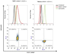 Invitrogen SSEA1 Monoclonal Antibody (BRA4F1) 100 &mu;g; Unconjugated:Antibodies,
