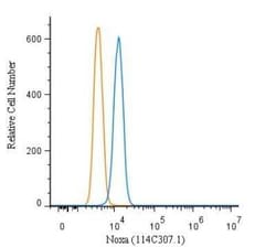 Invitrogen NOXA Monoclonal Antibody (114C307.1) 100 &mu;g; Unconjugated:Antibodies,