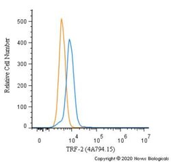 Invitrogen TRF2 Monoclonal Antibody (4A794.15) 100 &mu;g; Unconjugated:Antibodies,