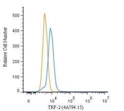 Invitrogen TRF2 Monoclonal Antibody (4A794.15) 100 &mu;g; Unconjugated:Anticuerpos