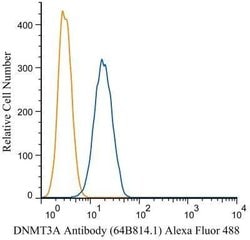 DNMT3A Monoclonal Antibody (64B814.1), Invitrogen 100 &mu;g | Buy Online | Thermo Scientific | Fisher Scientific