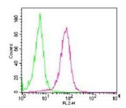 Invitrogen RANK Monoclonal Antibody (9A725), PE 100 &mu;L | Buy Online | Invitrogen&trade; | Fisher Scientific