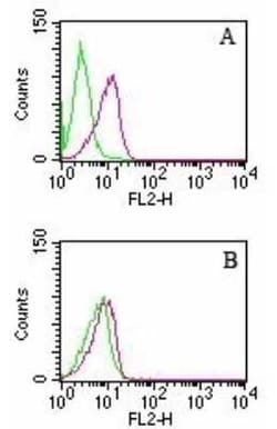 Invitrogen D4-GDI Monoclonal Antibody (97A1015) 100 &mu;g | Buy Online | Invitrogen&trade; | Fisher Scientific