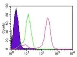 Invitrogen IKK gamma Monoclonal Antibody (46B844) 100 &mu;g; Unconjugated:Antibodies,