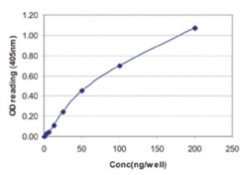 Invitrogen Influenza A NP Monoclonal Antibody (2F205) 100 &mu;g; Unconjugated:Antibodies,