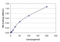 Invitrogen Influenza A NP Monoclonal Antibody (2F205) 100 &mu;g | Buy Online | Invitrogen&trade; | Fisher Scientific
