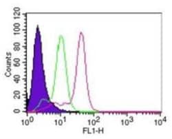 Invitrogen Caspase 8 Monoclonal Antibody (90A992) 100 &mu;g | Buy Online | Invitrogen&trade; | Fisher Scientific