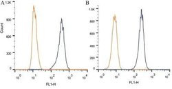 Invitrogen TRF1 Monoclonal Antibody (57-6) 100 &mu;L; Unconjugated:Antibodies,