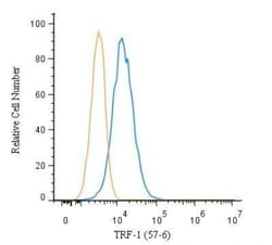 Invitrogen TRF1 Monoclonal Antibody (57-6) 100 &mu;L; Unconjugated:Antibodies,