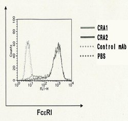 Invitrogen FceR1 alpha Monoclonal Antibody (CRA2 (AER24)) 100 &mu;g; Unconjugated:Antibodies,