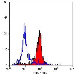 Invitrogen CD31 Monoclonal Antibody (CO.3E1D4) 100 &mu;g; Unconjugated:Antibodies,