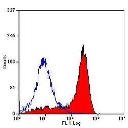 Invitrogen CD11b/c Monoclonal Antibody (OX-42) 500 &mu;g; Unconjugated:Antibodies,