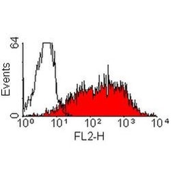 Invitrogen CD25 Monoclonal Antibody (MRC OX-39), FITC 100 &mu;g; FITC:Antibodies,