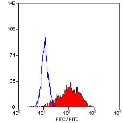 Invitrogen CD25 Monoclonal Antibody (MRC OX-39), FITC 100 &mu;g | Buy Online | Invitrogen&trade; | Fisher Scientific