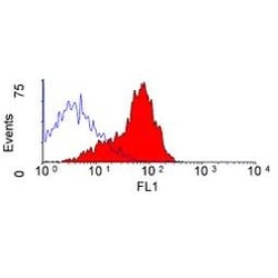 Invitrogen CD200 Monoclonal Antibody (MRC OX-2), PE 50 &mu;g; PE:Antibodies,