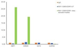 Invitrogen Estrogen Receptor alpha Monoclonal Antibody (AER311) 100 &mu;g;