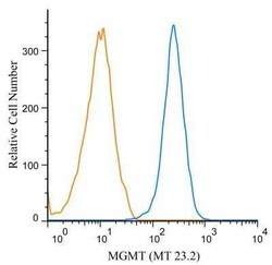 Invitrogen MGMT Monoclonal Antibody (MT 23.2) 100 &mu;L | Buy Online | Invitrogen&trade; | Fisher Scientific