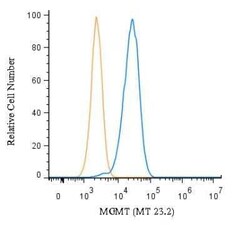 Invitrogen MGMT Monoclonal Antibody (MT 23.2) 100 &mu;L | Buy Online | Invitrogen&trade; | Fisher Scientific