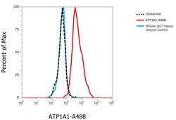 Invitrogen ATP1A1 Monoclonal Antibody (M7-PB-E9), Alexa Fluor 488 50 &mu;L;