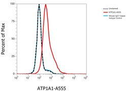 Invitrogen ATP1A1 Monoclonal Antibody (M7-PB-E9), Alexa Fluor 555 50 &mu;L;