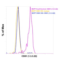 Invitrogen CD81 Monoclonal Antibody (1.3.3.22) 500 &mu;L; Unconjugated:Antibodies,