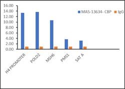 Invitrogen CBP Monoclonal Antibody (NM11) 500 &mu;L; Unconjugated:Antibodies,